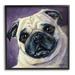 Stupell Industries Purple Pug Face Portrait Framed On Wood by Lindsay Kivi Fine Art Painting Wood in Black/Brown | 17 H x 17 W x 1.5 D in | Wayfair