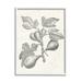 Stupell Industries Vintage Fig Plant Study Drawing Framed On Wood by Lil' Rue Graphic Art Wood in Brown/Gray | 14 H x 11 W x 1.5 D in | Wayfair