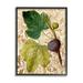 Stupell Industries Ornate Produce Fig Plant Pattern Framed On Wood by Lil' Rue Graphic Art Wood in Brown/Green | 14 H x 11 W x 1.5 D in | Wayfair