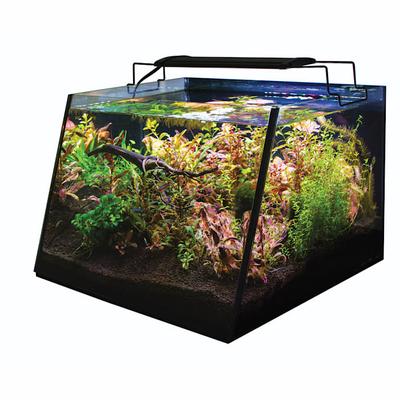 Lifegard Aquatics Full-View Angled Front Aquarium with LED Light and Submersible Filter, 7 Gallon, 16.1" L X 14.5" W X 10.9" H