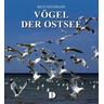 Vögel der Ostsee - Rico Nestmann