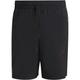 ADIDAS Herren Shorts AEROREADY Essentials Chelsea 3-Streifen, Größe L in Schwarz