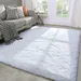 Lochas Fluffy Rug Soft Fuzzy Shag Carpet for Bedroom Living Room Indoor Home Decor Nursery Big Area Rugs 5 X8 White