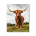 Stupell Industries Highland Cattle Long Horns Grazing Farm Ranch Photograph Gallery Wrapped Canvas Print Wall Art Design by James Dobson