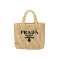 Small Raffia Tote Bag