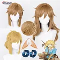 Perruque Cosplay Anime Twilight Princess Breath of the Interface Tears of the Kingdom Heat Degree