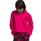 The North Face Girls' Camp Fleece Pullover Hoodie (Size XL) Mr. Pink, Cotton,Polyester