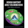 Pre-Owned Human Anatomy Adult Coloring Book (Paperback) 1506225586 9781506225586