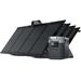 EcoFlow DELTA 1300 w/ 4 Solar Panel 110W Black DELTA1300-4