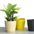Nordic Style Plant Container - Flowerpot Planting Tool for Home Garden Decoration