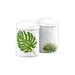Godinger Silver Art Co Monstera Leaf Salt & Pepper Shaker Set Ceramic in Green/White | 3.05 H x 2 W in | Wayfair 13936