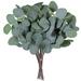 Holzlrgus 10 Pcs Fake Eucalyptus Leaves Stems Bulk Artificial Silver Dollar Eucalyptus Leaves Plant in Grey Green 11.8 Tall Wedding Greenery Artificial Greenery Holiday Greens Floral Arrangement