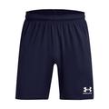 Under Armour Herren UA M's Ch. Knit Short Pants