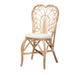 Jerica Modern Bohemian Natural Brown Rattan Dining Chair