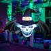 The Holiday Aisle® Engelman Halloween Inflatable 4FT Outdoor Winged Demon Head w/ Built-in LED Lights in Black/White | 60 H x 48 W in | Wayfair