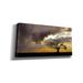 Latitude Run® Shontoya Lone Tree In The Morning Light On Canvas by Don Schwartz Print Metal in Brown | 20 H x 40 W x 1.5 D in | Wayfair