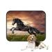 PKQWTM Black Friesian horse gallop Pet Dog Cat Bed Pee Pads Mat Cushion Potty Dogs Blankets Crate Bed Kennel 25x30 inch