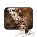 ECZJNT Giraffe Adult And Baby Painting Pet Dog Cat Bed Pee Pads Mat Cushion Potty Dogs Blankets Crate Bed Kennel 25x30 inch