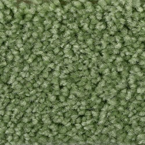 „BODENMEISTER Teppichboden „“Veloursteppich Pegasus““ Teppiche fußbodenheizungsgeeignet, Hochflor Gr. B/L: 650 cm x 500 cm, 10 mm, 1 St., grün (dunkel grün) Teppichboden“