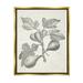 Stupell Industries Vintage Fig Plant Study Drawing Botanical & Floral Painting Gold Floater Framed Art Print Wall Art