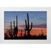 Illg Cathy and Gordon 24x17 White Modern Wood Framed Museum Art Print Titled - AZ Sonoran Desert Saguaro cacti and sunset