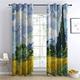 BUKITA Van Gogh Curtains, Cypress Tree in Wheat Field Blackout Curtains 66x54 InchEyelet Curtains for Living Room Bedroom and Kitchen, Thermal Grommet Drapes, Door Curtain, 2 Panels Set