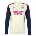 Arsenal Junior 22/23 Cream Training Top, Multicolor