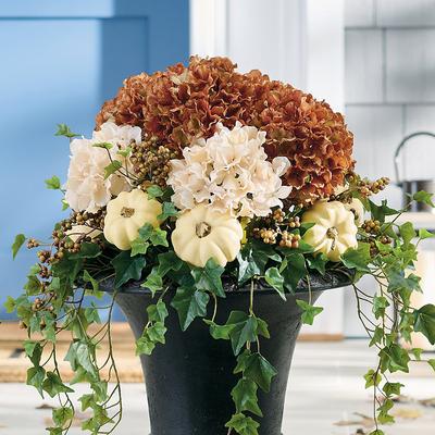 Hydrangea Pumpkin Urn Filler - Grandin Road