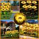 Solar Sunflower Lights Solar Garden Stake Lights Waterproof Solar Flower Lights Outdo Outdoor Solar Sunflower 8led Ground Light Courtyard Light Outdoor Light