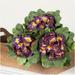 Variegated African Violet Artificial Flower Bushes - Pack of 3 Individual Artificial Poly Violet Flowers