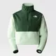 The North Face Women's Cropped Denali Fleece Jacket Misty Sage-pine Needle Size S