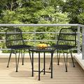 Dcenta 2 Piece Patio Chairs PE Rattan Outdoor Dining Chair Set Steel Legs Garden Chairs for Balcony Backyard Lawn 18.9 x 24.4 x 33.1 Inches (W x D x H)