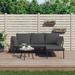 Dcenta 3 Piece Patio Set with Dark Gray Cushions Poly Rattan