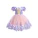 Kids Baby Girl s Lace Princess Dress Puff Short Sleeve Tulle Dress Formal Party Wedding A-line Dress