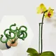 Plant Support Stakes Garden Single Stem Flower Phalaenopsis Orchid Dedicated Support Stakes Reusable