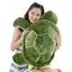 35/45/55cm Plush Tortoise Toy Cute Turtle Plush Pillow Staffed Cushion for Girls Vanlentine's Day