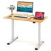 Electric Standing Desk Height Adjustable Sit to Stand Workstation