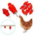 10/15/20/50 Pcs Chicken Waterer Nipple Drinkers Quail Pigeon Waterer Nipple Automatic Water Spring