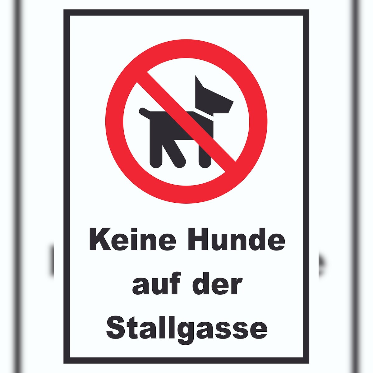 Keine Hunde auf der Stallgasse Schild A2 (420x594mm) Image