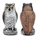 Loon Peak® Owls Resin Garden Statue in Black/Brown/White | 20.48 H x 9.44 W x 9.06 D in | Wayfair 8D22B985D68B4A47A2B4A1E2C52471B7