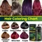 500 ml Shampoo Color and Care 3-in-1-Kräuter-Haarfarb-Shampoo schützt und stellt das Haar in 10 Minuten wieder her mit Haarfarb-Shampoo