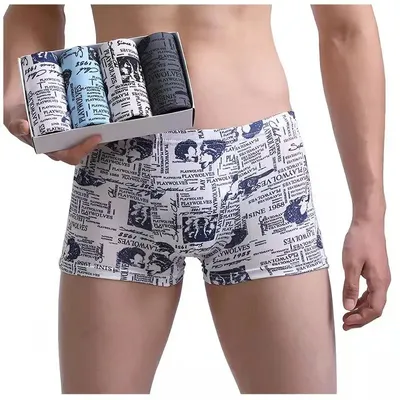 Männer Höschen 4 teile/los Männliche Unterhose Mann Pack Shorts Boxer Unterwäsche Mode Sexy Herren Boxer Ultradünne Große Größe L-4XL Image