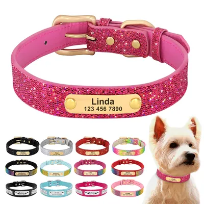Personalisiertes Hundehalsband Bling, individuelles Anti-Verlust-Haustier-ID-Halsband, verstellbare Image
