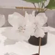 Minar Übertrieben Weiß Acryl Blume Ohrringe Klar Kristall Floral Blütenblatt Großen Tropfen Ohrringe