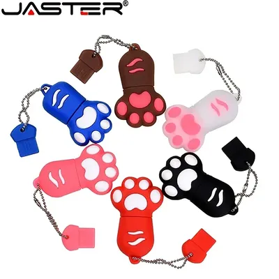 JASTER USB-Flash-Laufwerk Cartoon 64 GB Bruin Pink Black Blue Kleur Kat Klauw USB-Flash-Laufwerk USB