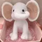 Elefant Plüsch Spielzeug Kawaii Baby Spielzeug Stofftier Puppe Für Kinder Weißen Elefanten Spielzeug Cartoon Für Mädchen Niedlichen Spielzeug Für hochzeit