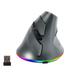 SHARE SUNSHINE Ergonomic Wireless Mouse 2.4G+Bluetooth Dual-mode Vertical Mouse with RGB Light Charging Mute Mouse 4 Adjustable DPI Optical Computer Mouse for Laptop Desktop PC-Gray