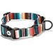 Wolfgang Premium Martingale Dog Collar for Small Medium Large Dogs Made in USA LostArt Print Large (1 Inch x 18-22 Inch)