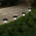 Solar Powered Lights (Set Of 8) LED Outdoor Stake Spotlight Fixture For Gardens Pathways And Patios By Pure Garden