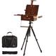 VISWIN Portable Plein Air Easel, Pochade Box with Aluminum Tripod & 2 Nylon Carry Bags, French Tabletop & Floor Easel Stand for Painting, Displaying Outdoor, Travel Easel for Artist, Adult, Beginner
